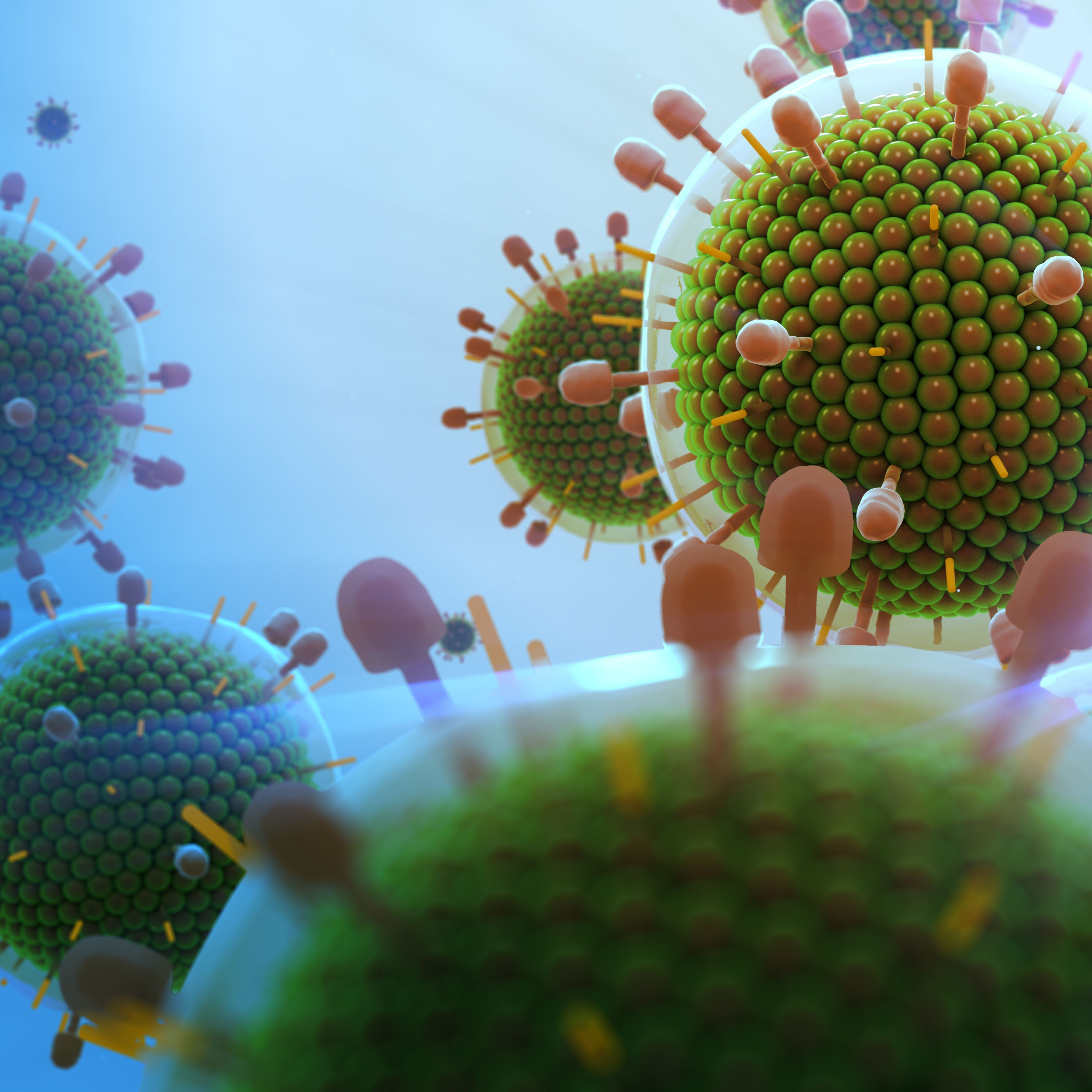 Paramyxovirus