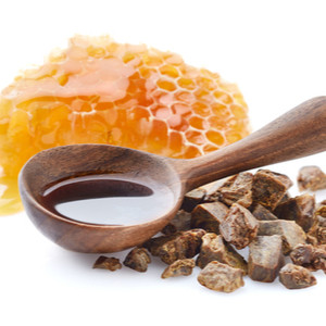 Naturopathic applications and studies on propolis