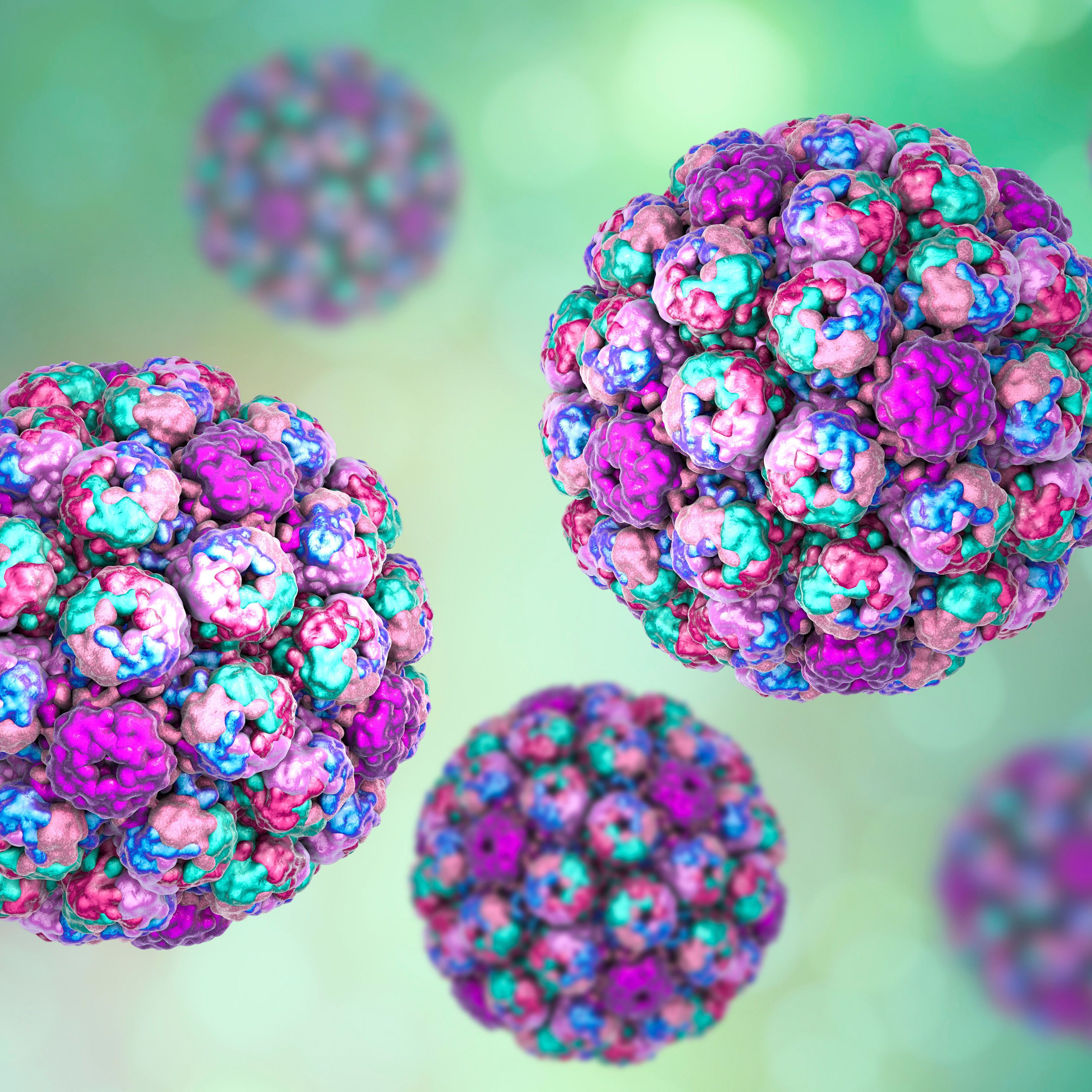 Poliomavirus