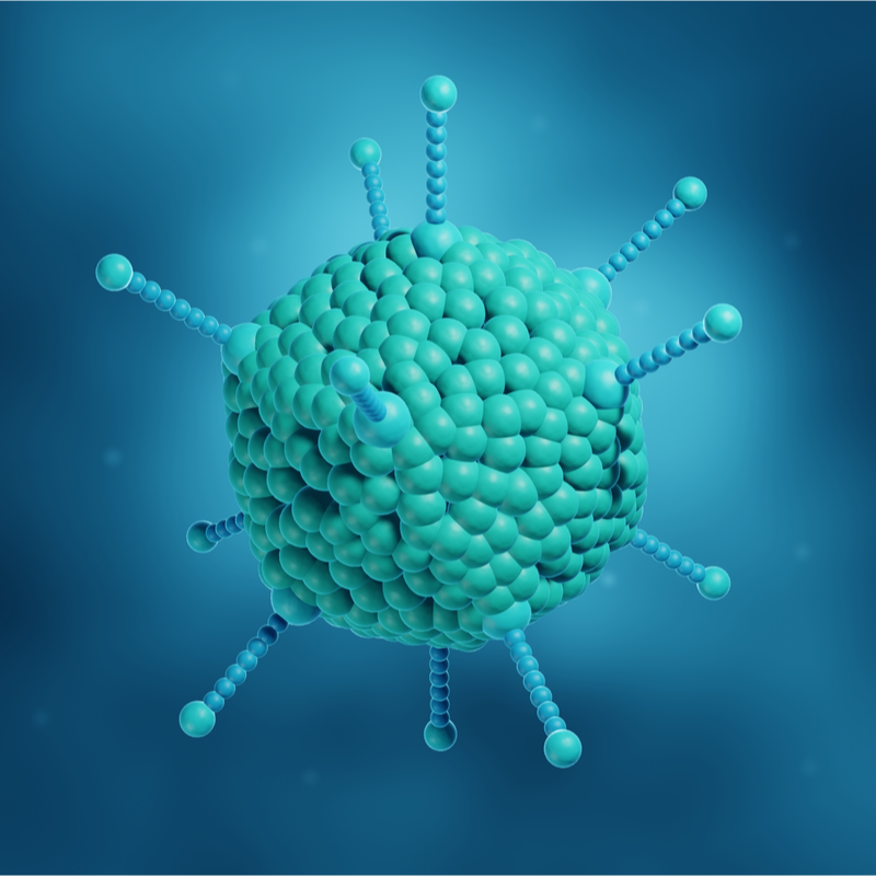 Adenovirus