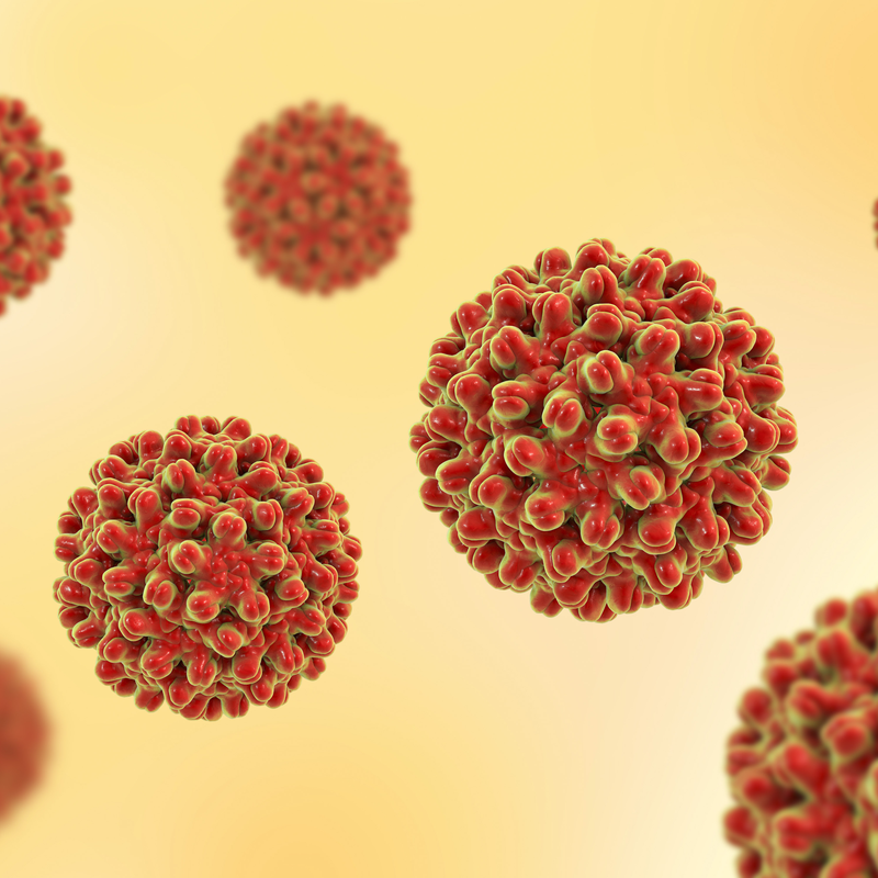 Virus dell'epatite di tipo B