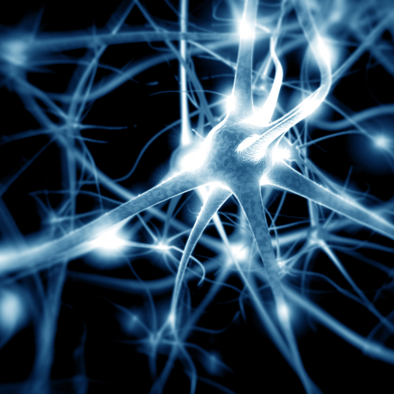 nls-nervensystem-jpg-ges-nerven-00 nls-nervensystem.jpg