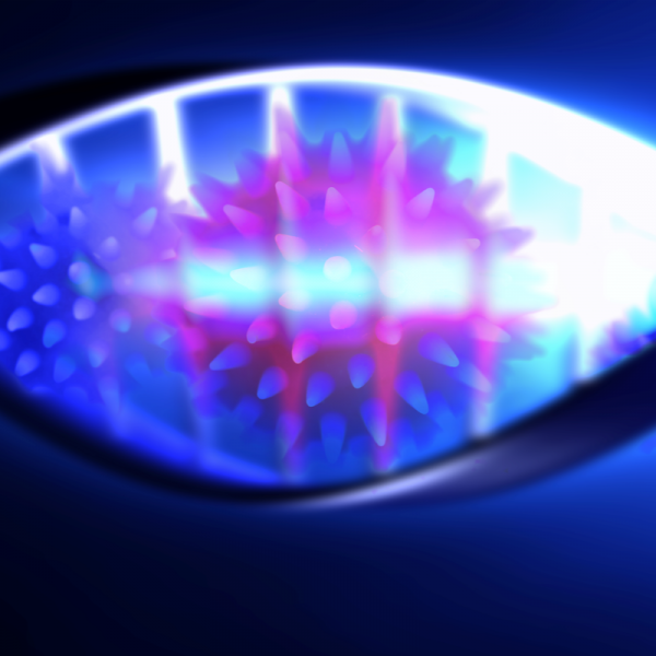 BX virus