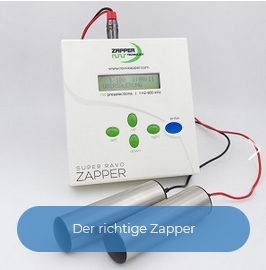 Webinar der richtige Zapper.jpg