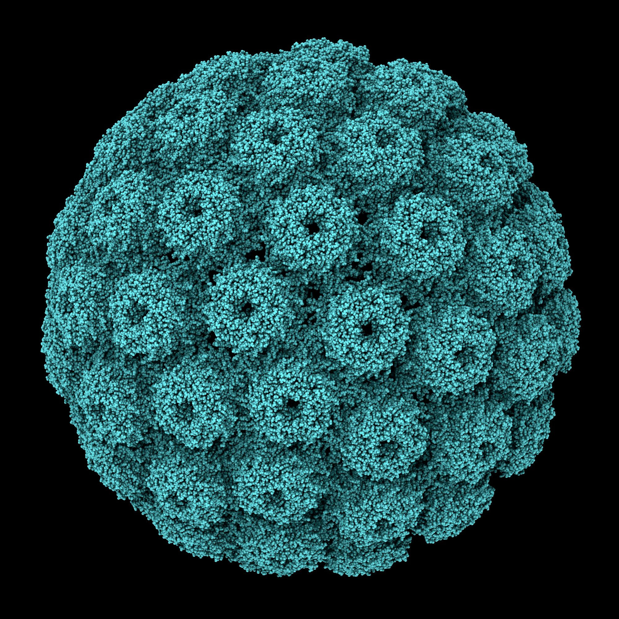 Find viruses. Вирус sv40. Обезьяний вирус sv40. Строение вируса sv40. Вирус полиомиелита додекаэдр.