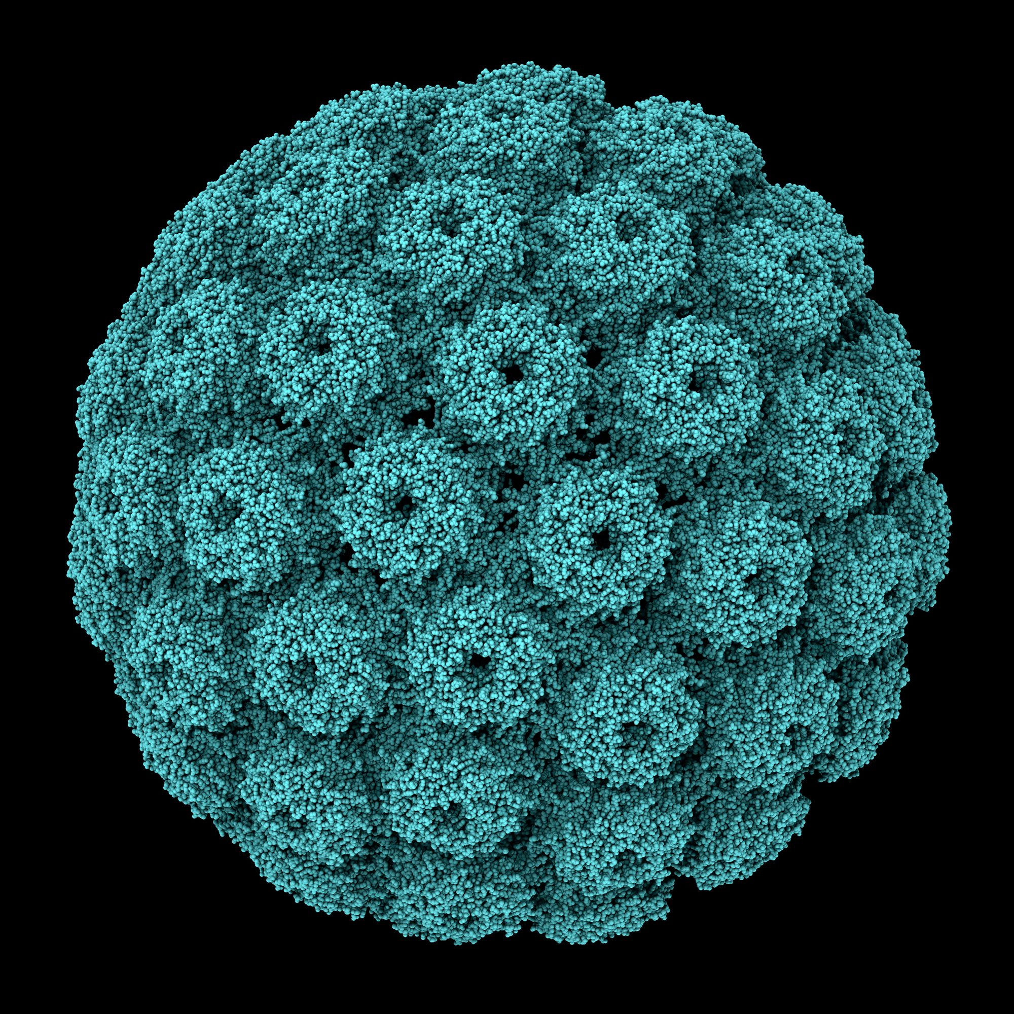 Simian-Virus-40