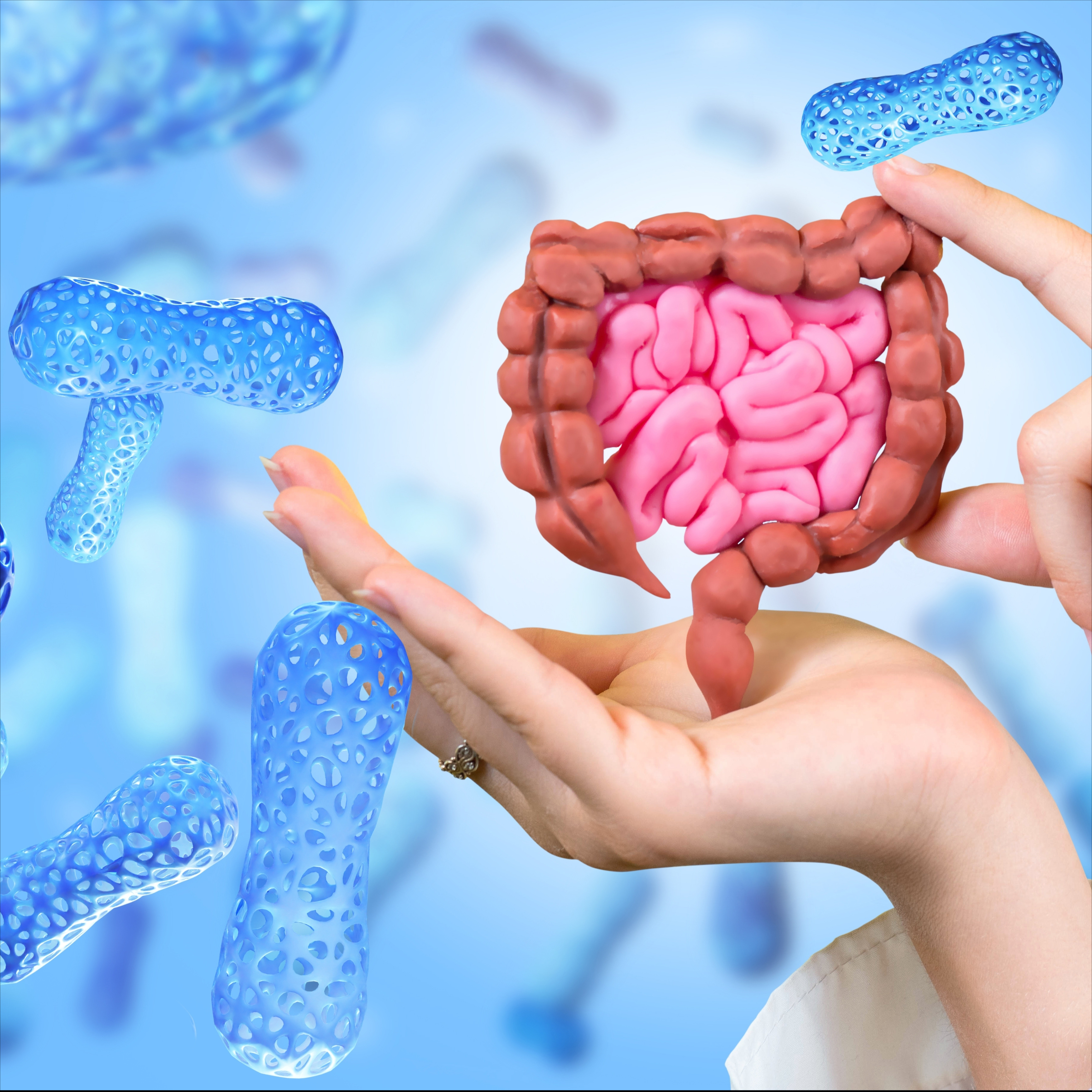Lactobacillus acidophilus
