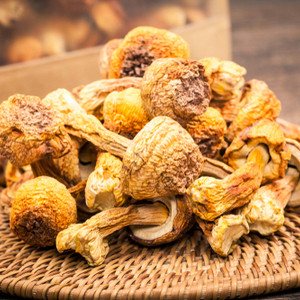 Agaricus Blazei - Φαρμακευτικά μανιτάρια - Θεραπεία όγκων