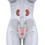 nls-uro-w-jpg-ges-uro-w-00 nls-uro-w.jpg