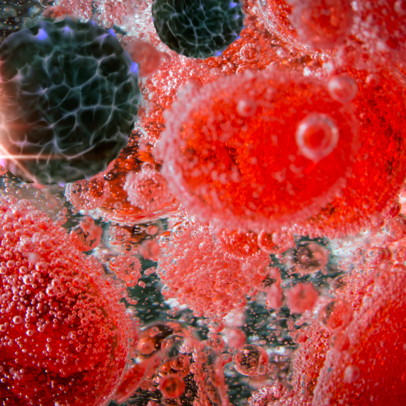 VIH virus du sida