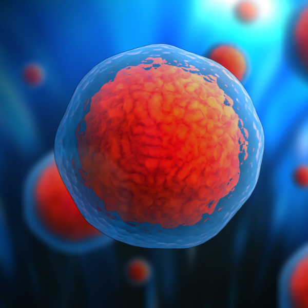 Efectul antiapoptotic
