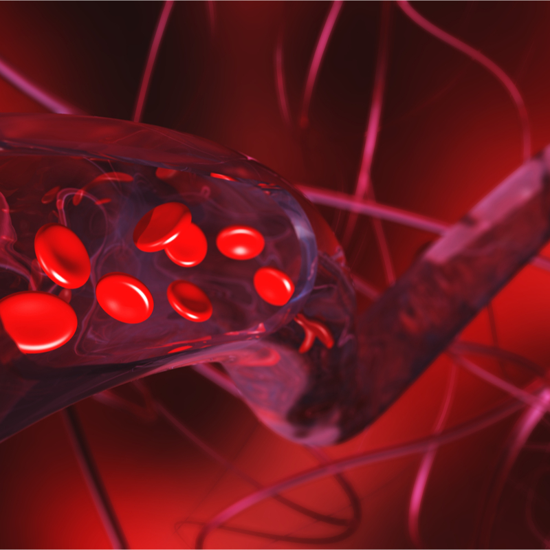 nls-blutanalyse-jpg-ges-blut-00 nls-blutanalyse.jpg
