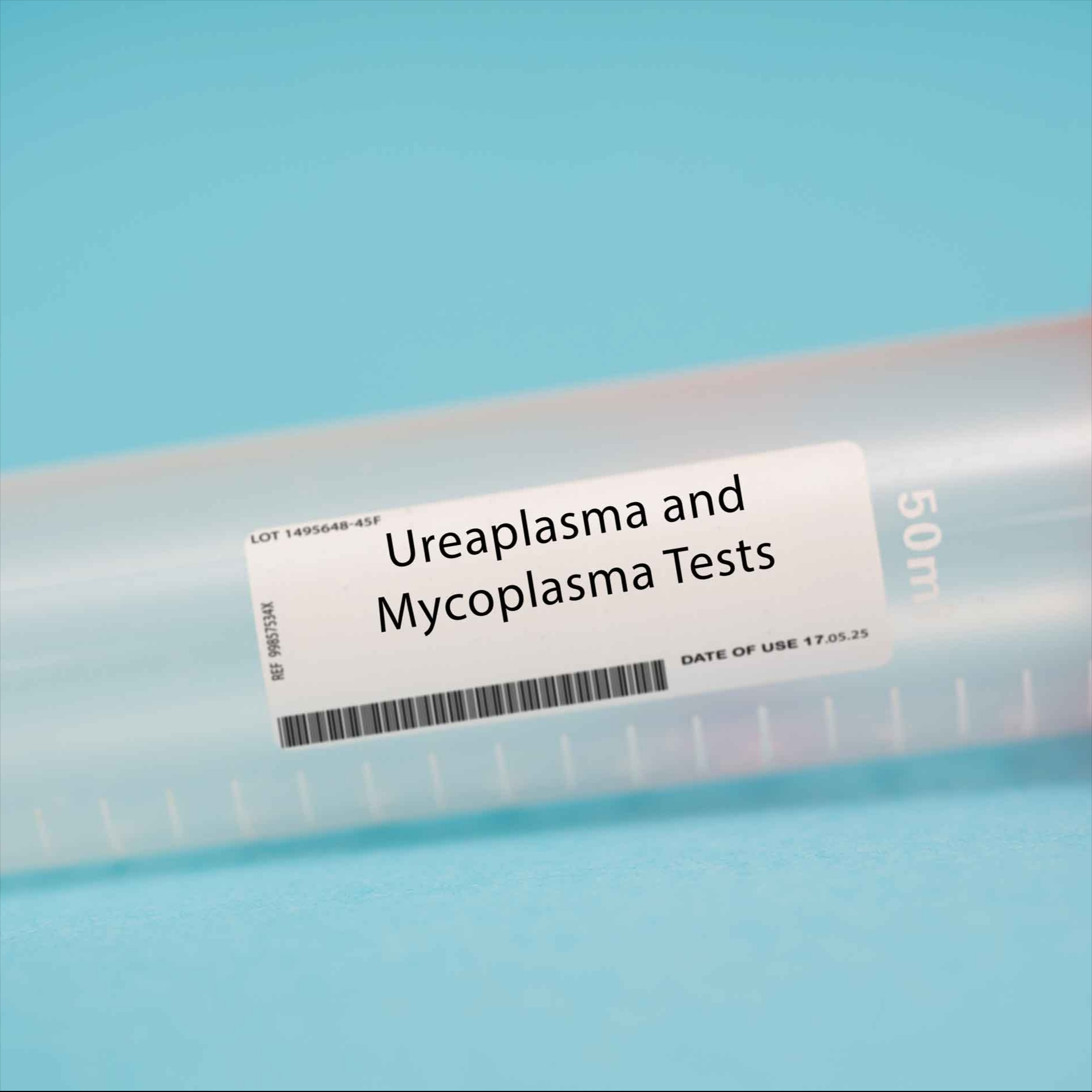 Ureaplasma
