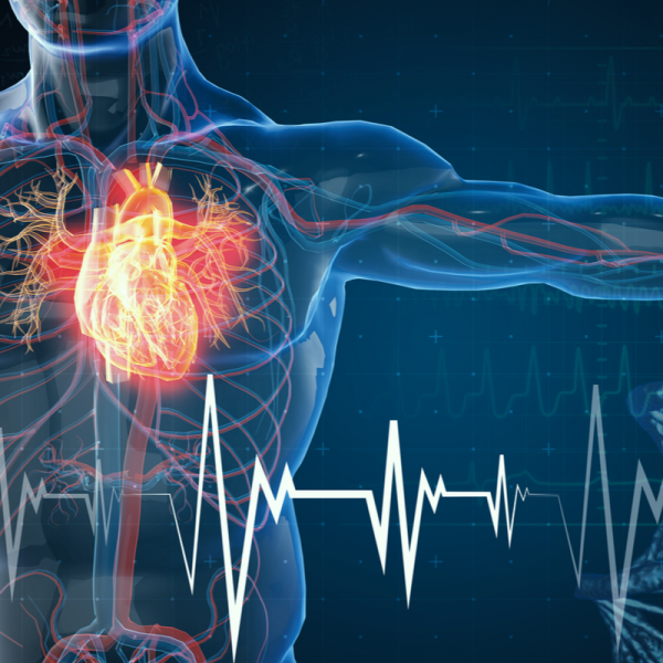 H2 pentru boli cardiovasculare