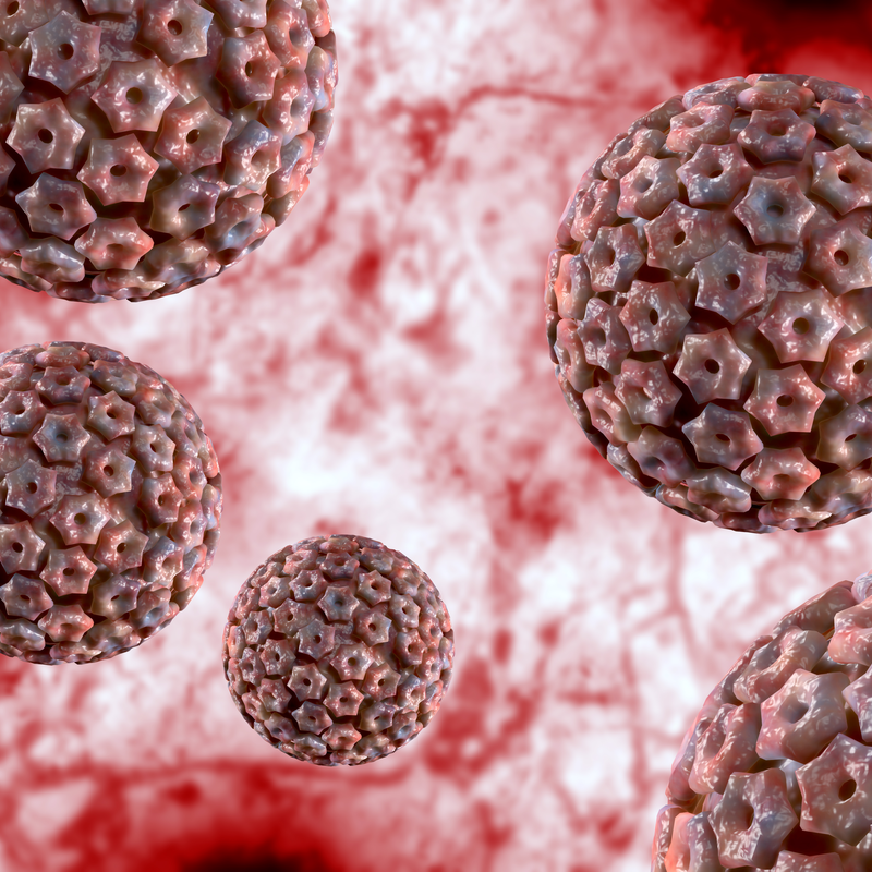 Herpes Simplex Tipo 1 (HHV-1)