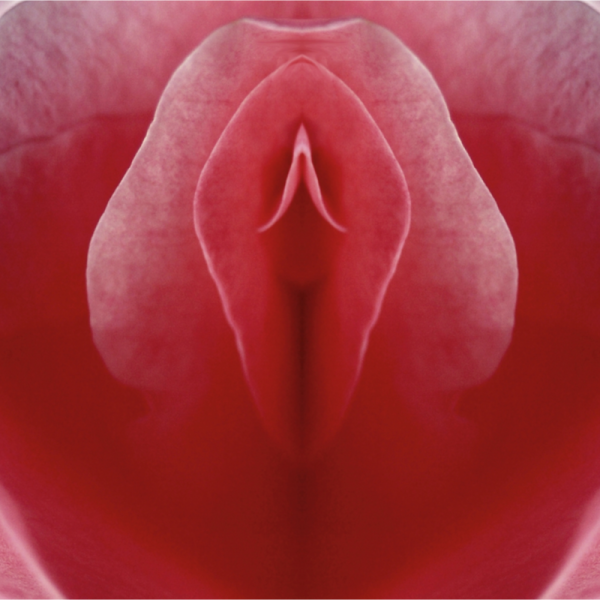 Vulvas karcinoma