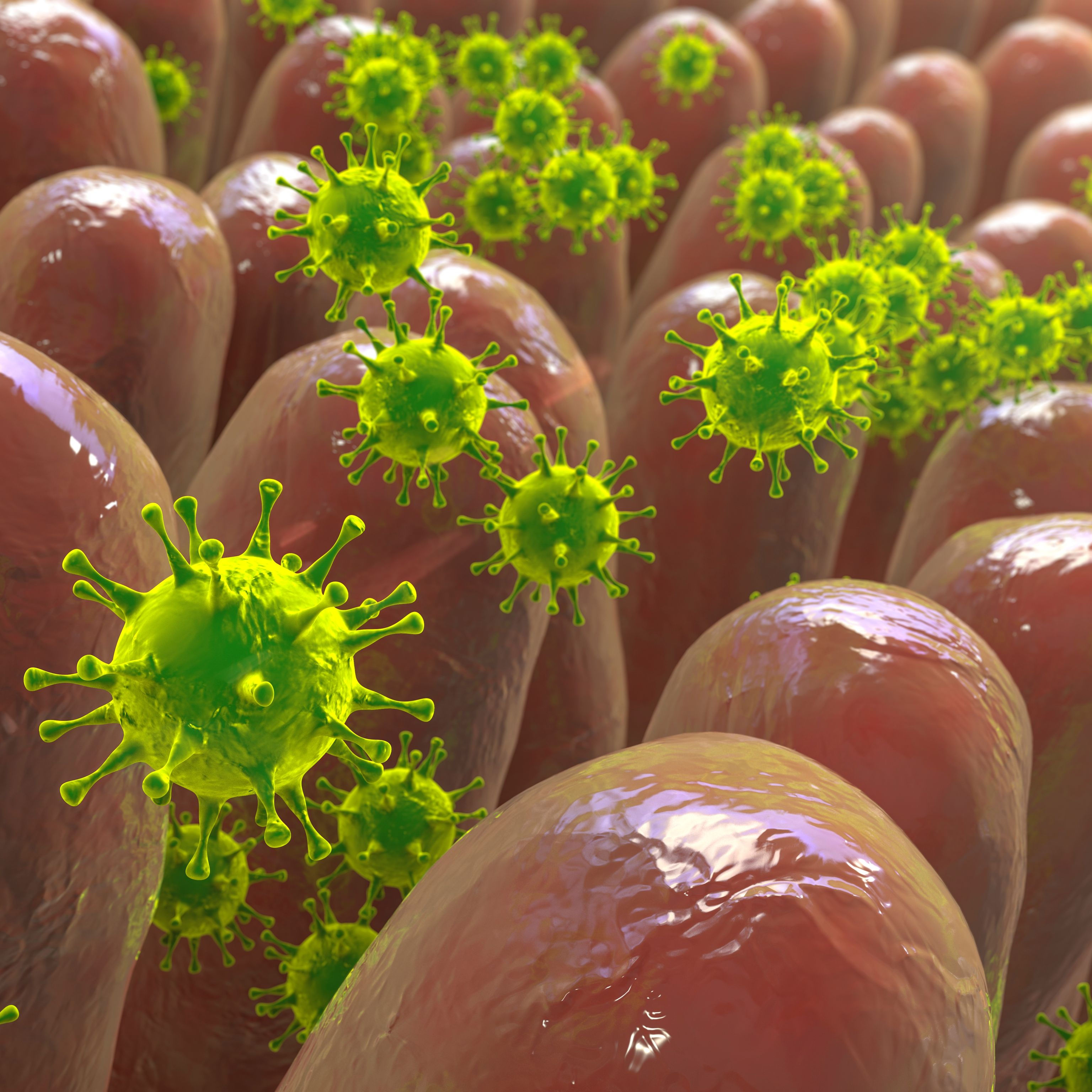Astrovirus
