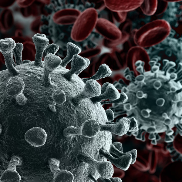 Virus et thérapie de fréquence