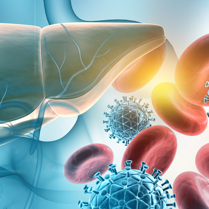 Virus dell'epatite di tipo A