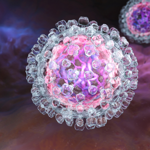 Hepatitis Viren