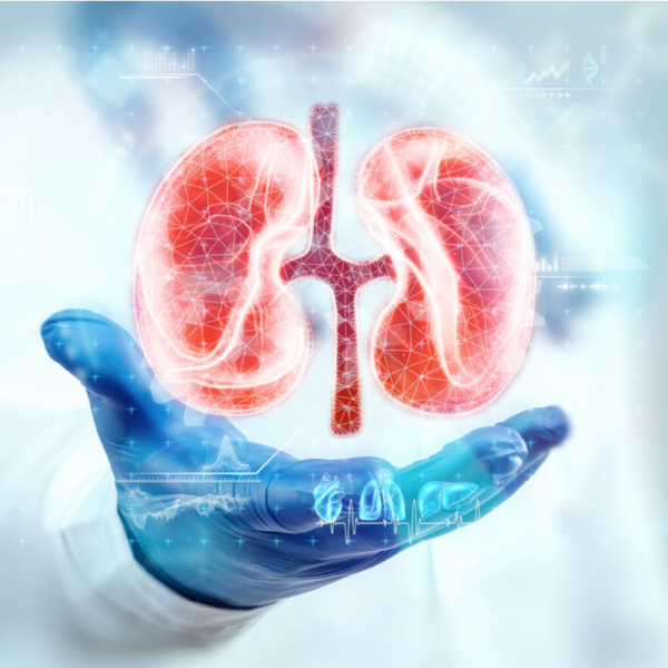 Quisto renal