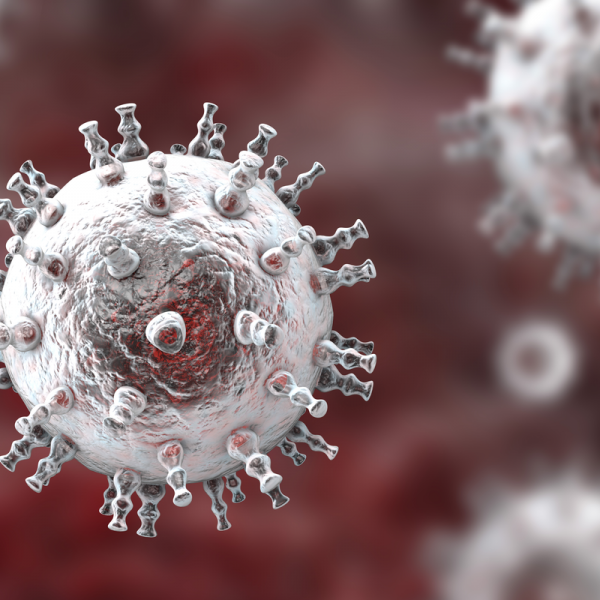 Humanes Herpesvirus 8
