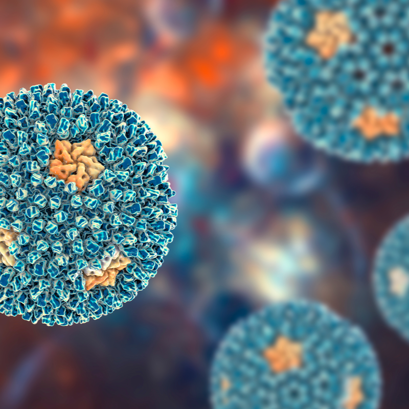 Reovirus