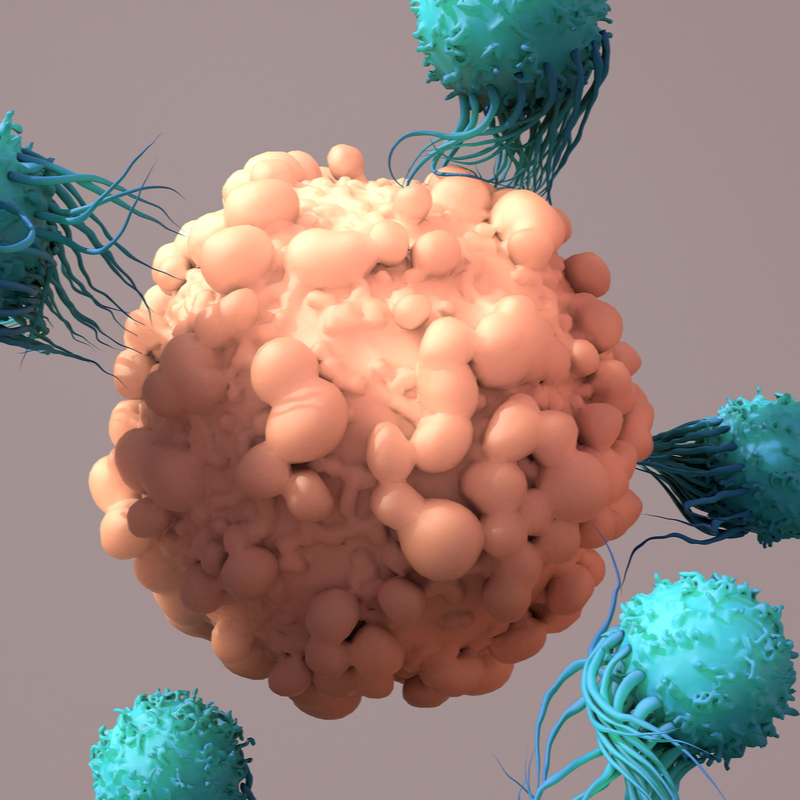 Virus T-linfotropico umano 1