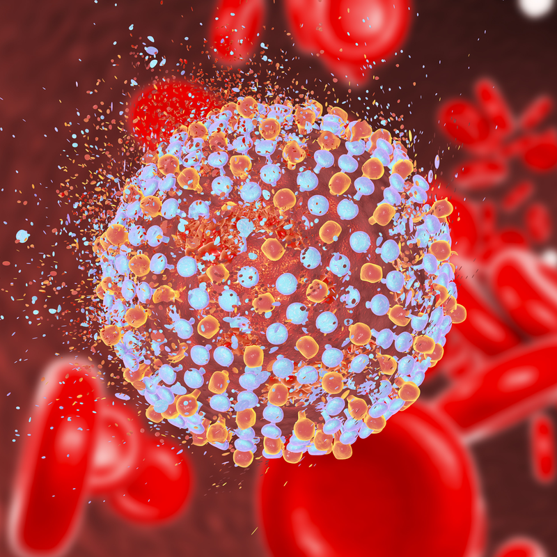 Virus dell'epatite di tipo C