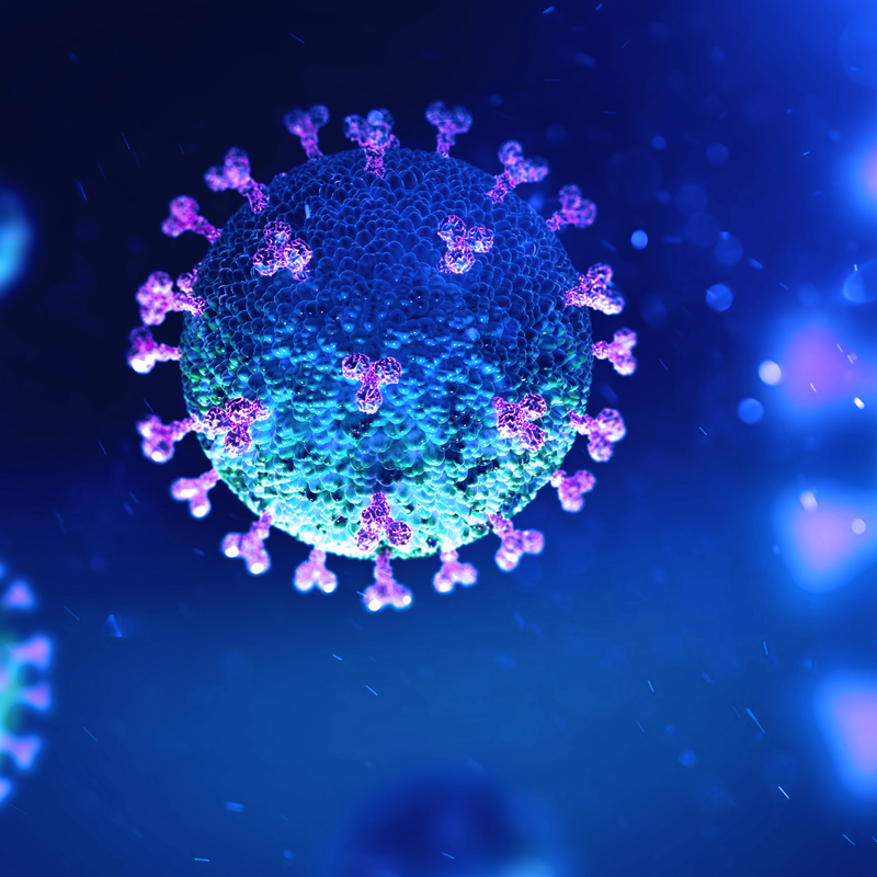 COVID19 (coronavirus)