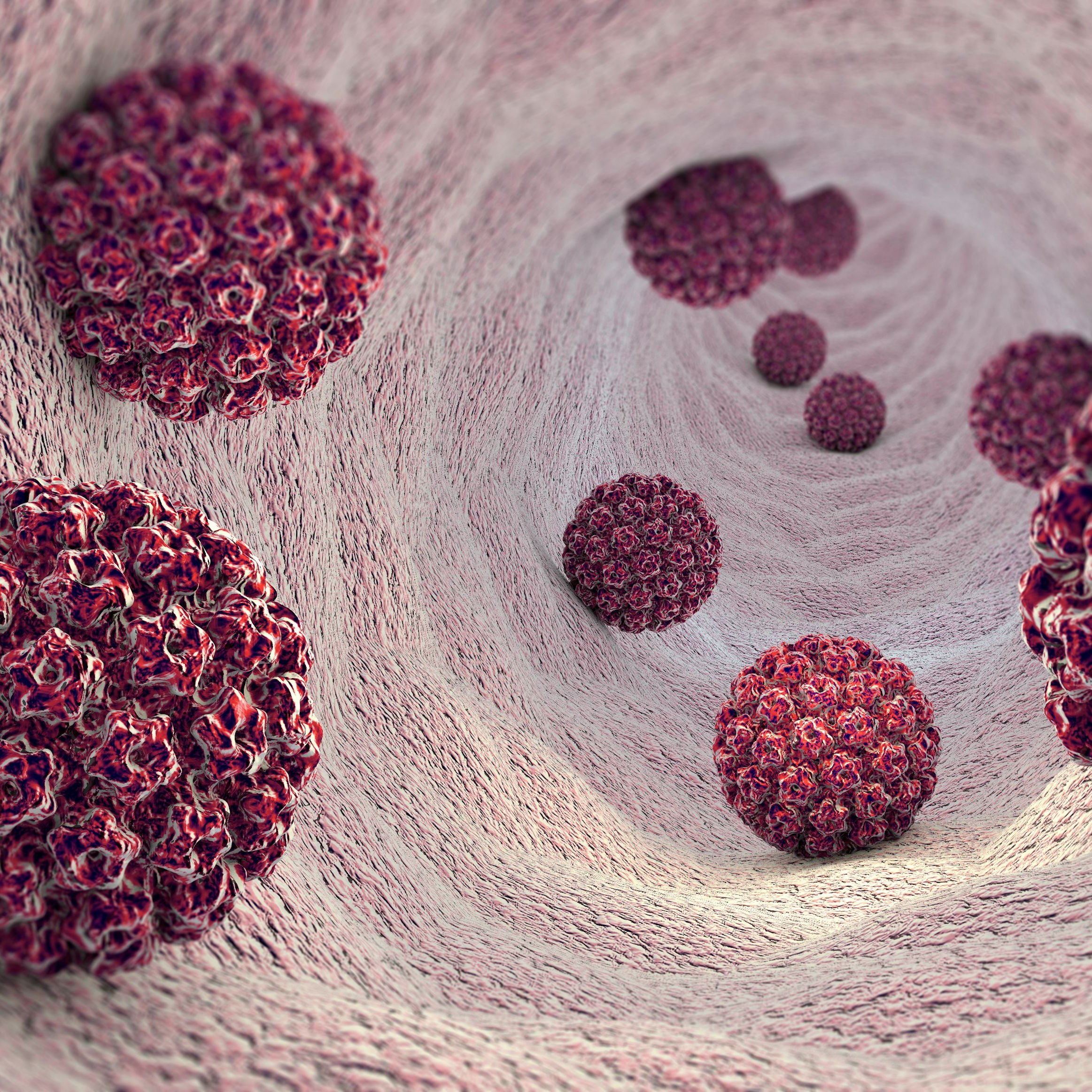 Humanes Papillomavirus (HPV)