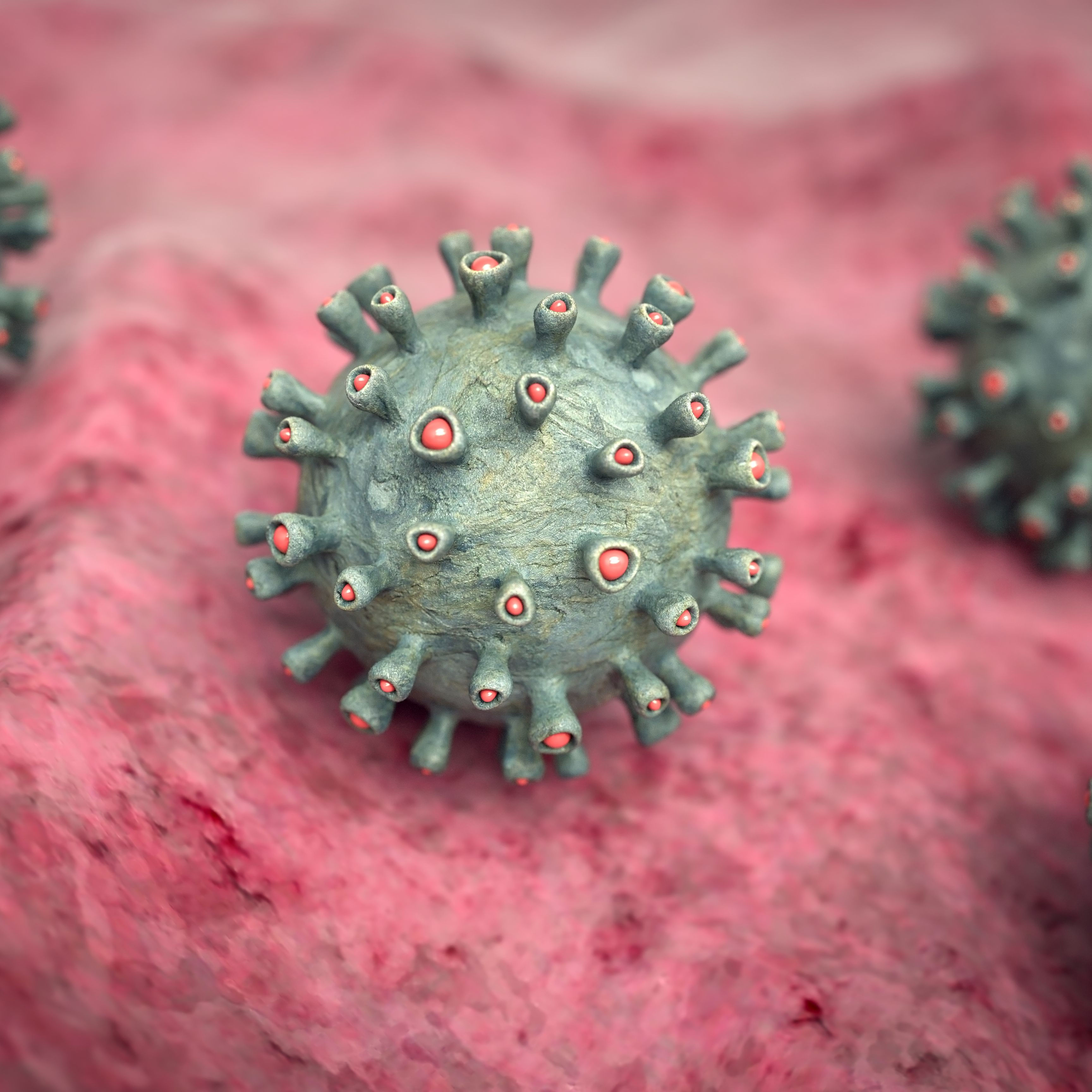 Herpes virus di tipo 6