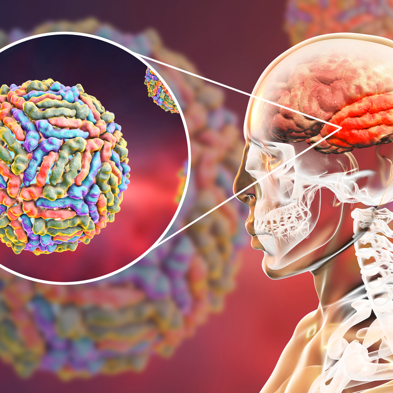 Virus del Nilo occidentale