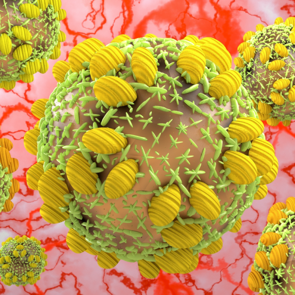 Virus de la hepatitis C