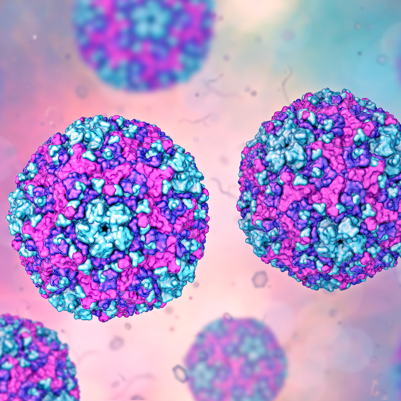 Coxsackie B3-virus