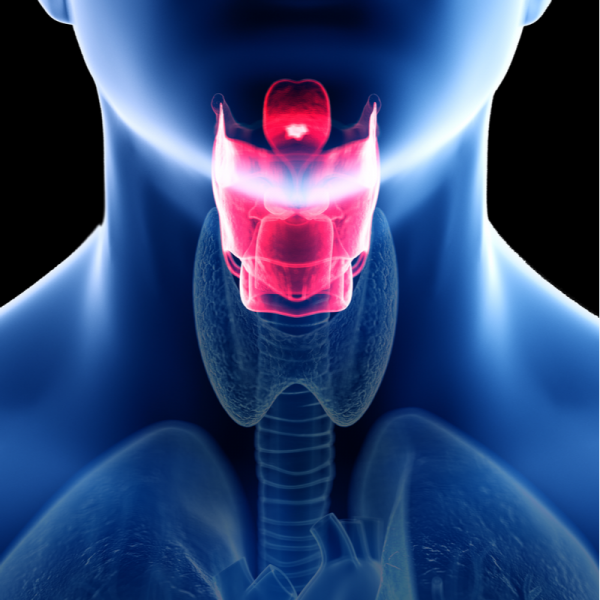 Laryngeální polyp