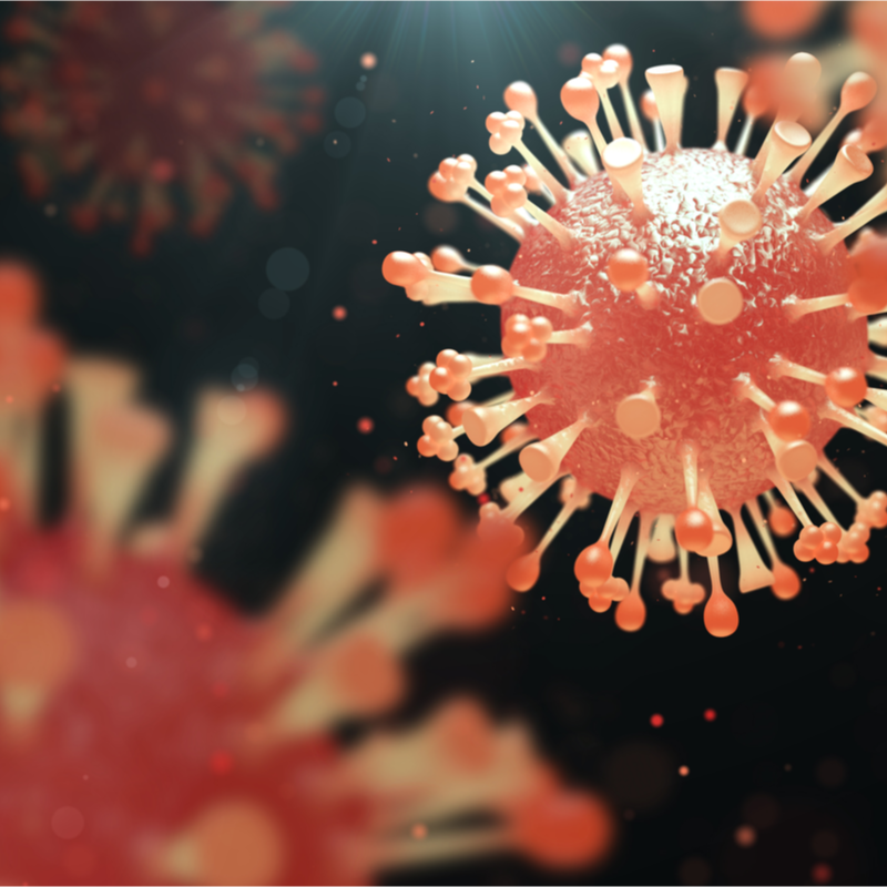 Virus influenzali