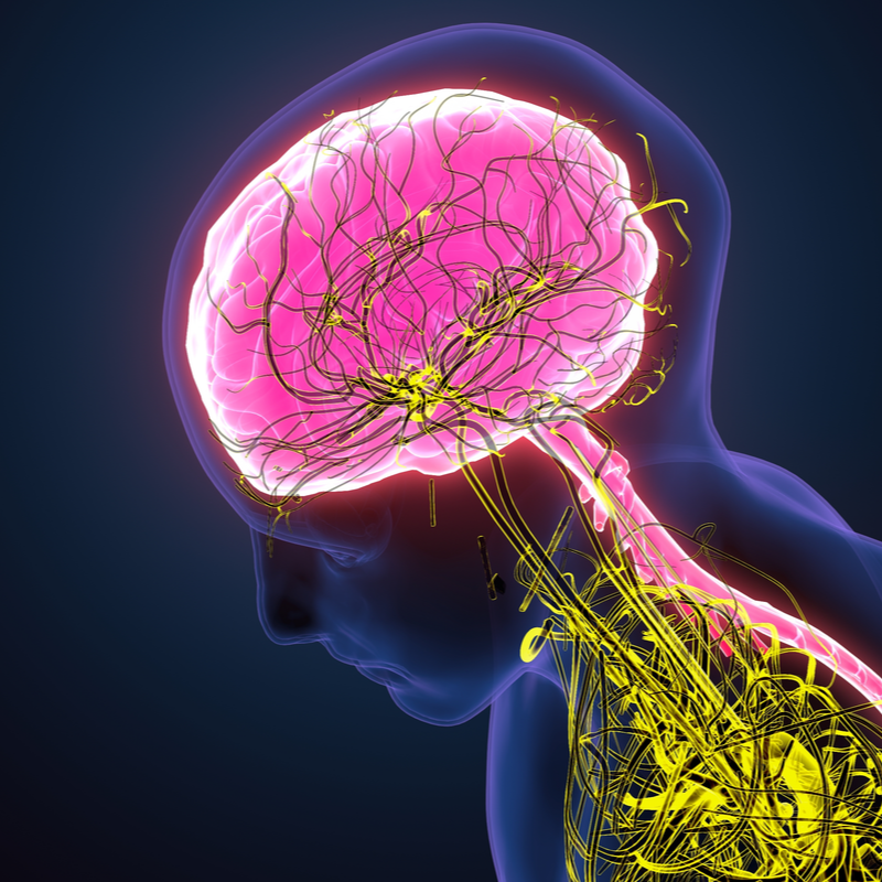 Oligoastrocytoma