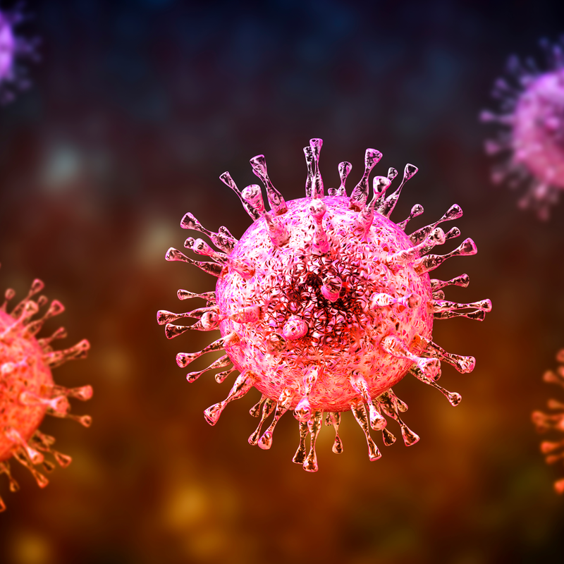 Cytomégalovirus
